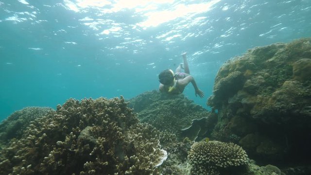 Snorkeling female in bikini diving underwater near the corals.