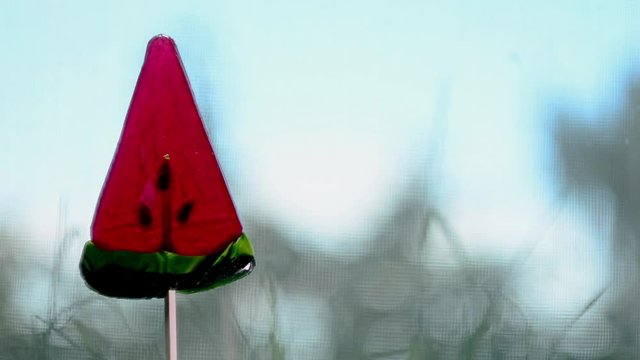 Red Lollipop in the shape of watermelon slices. Loop