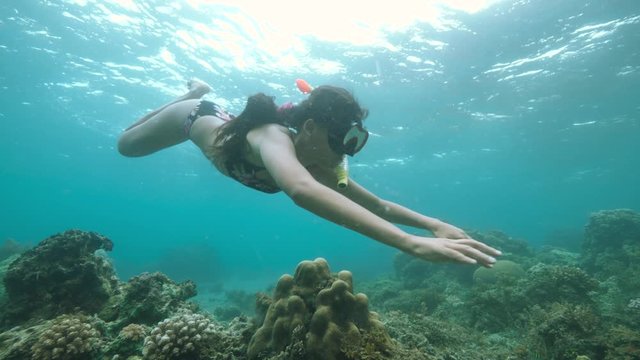 Underwater woman snorkeling and swimming near the corals in the blue ocean.