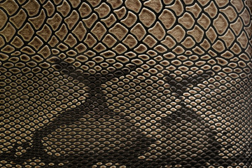 The background pattern for the snake pattern is natural brown.
