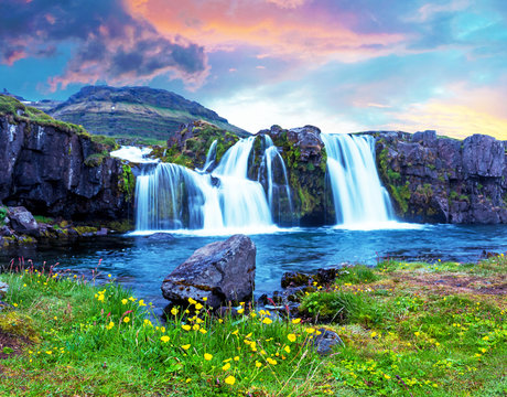 Beautiful terrific landscape with yellow flowers and big stone near waterfall Kirkjufell in Iceland at sunset. Exotic countries. Amazing places. Popular tourist atraction. © anko_ter