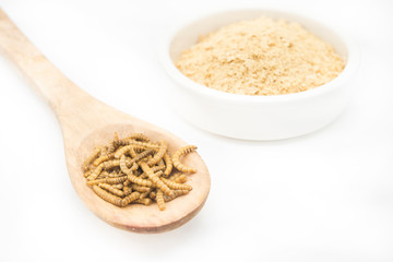 worm flour in wooden spoon and white background