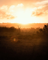 Sunset over Bushes and small Mountains