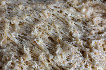 .Bread sourdough. Batter. Fermentation process. Conceptual background.