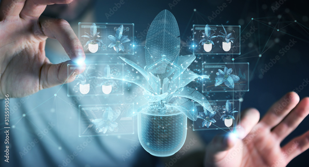 Leinwandbilder man holding and touching holographic projection of a plant with digital analysis 3d rendering