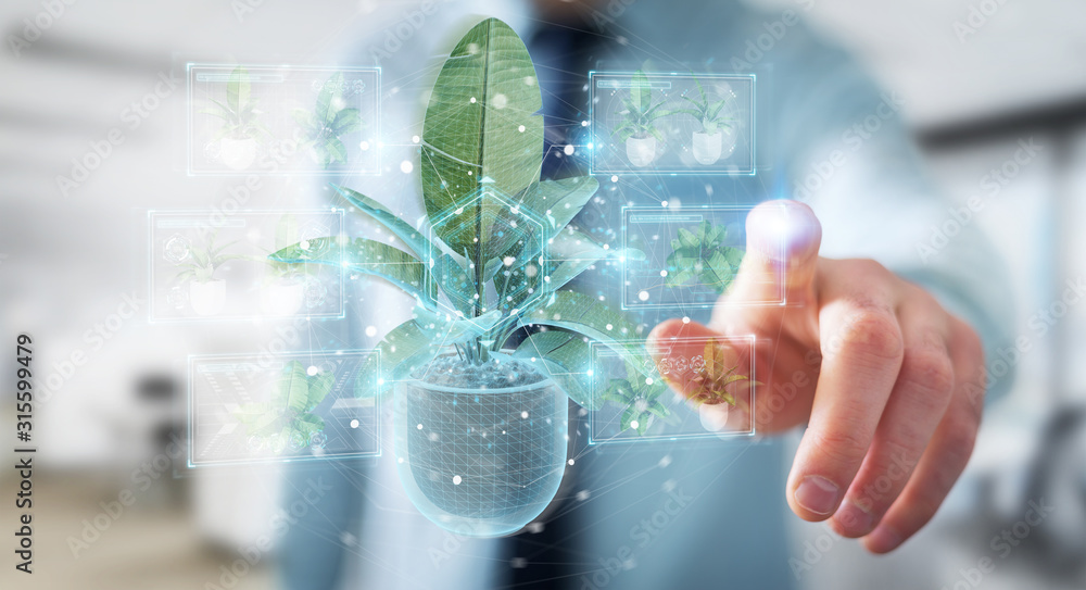 Leinwandbilder man holding and touching holographic projection of a plant with digital analysis 3d rendering
