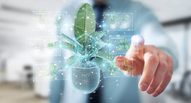 Man holding and touching holographic projection of a plant with digital analysis 3D rendering
