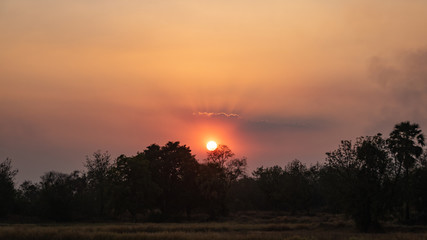 Sunset in the forest 