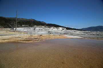 Mammoth Spring, Yellowstone National Park