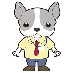 フレンチブルドッグ　オフィス　会社員　ビジネスマン　イメージ