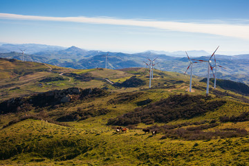 View of windmills in the Sicilian countryside
