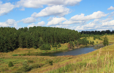 Summer pond.A pine forest is located on one of the slopes.