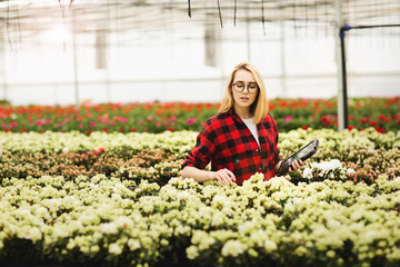 Naklejka na ściany i meble Young woman working in greenhouse. Attractive girl check and count flowers, using tablet computer