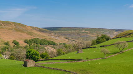 Swaledale landscape with stone barns on the fields near Keld, North Yorkshire, England, UK