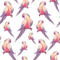 Hand drawn watercolor seamless pattern with tropical Ara parrot sitting on the branch of a tree. 