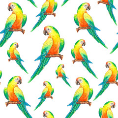 Hand drawn watercolor seamless pattern with tropical Ara parrot sitting on the branch of a tree. 