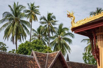 Wat Sisaket Temple in Vientiane city Old architecture and buddha statues (Vientiane, Laos)