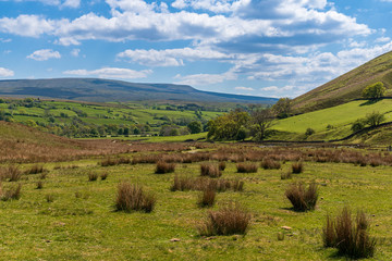 Fototapeta na wymiar Yorkshire Dales Landscape near Low Haygarth, Cumbria, England, UK