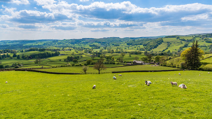 Yorkshire Dales landscape near Sedbergh, Cumbria, England, UK