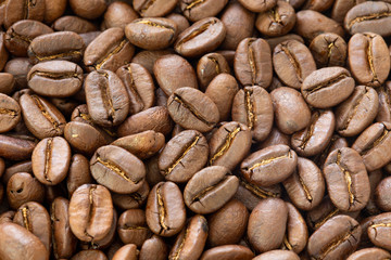 coffee beans background