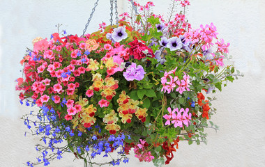 Fototapeta colorful flower basket with petunias, lobelia, geranium and bidens obraz