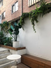 Sitting area with plants
