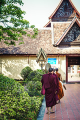 Travelling Laos, monks at temple 