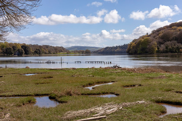 River in East Cork Ireland