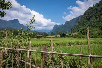 Fototapeta na wymiar Tropical village Vang Vieng, Laos. Green palms.