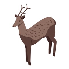 Wild deer icon. Isometric of wild deer vector icon for web design isolated on white background