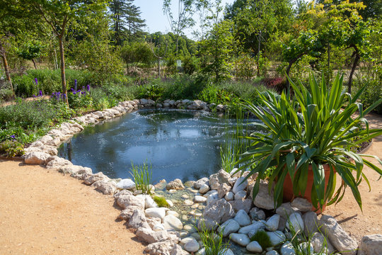Aménagment paysager de jardin - bassin et rocaille