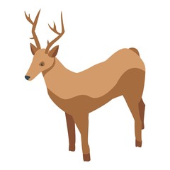 Deer pet icon. Isometric of deer pet vector icon for web design isolated on white background