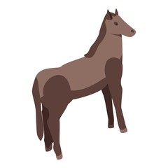 Wild horse icon. Isometric of wild horse vector icon for web design isolated on white background