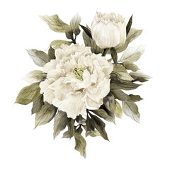 Bouquet of peonies, watercolor, can be used as greeting card, invitation card for wedding, birthday and other holiday and  summer background. © ola-la
