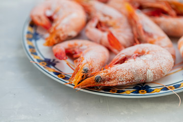 frozen shrimps on plate on ceramic background