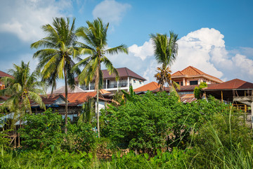 Fototapeta na wymiar Tropical village Vang Vieng, Laos. Green palms.