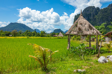 Green rice fields and mountains, Vang Vieng, Laos, Southeast Asia.