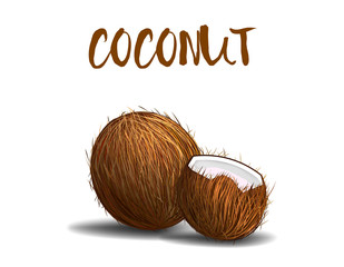 Whole and broken realistic coconut on isolated background with shadow for your design, vector illustration
