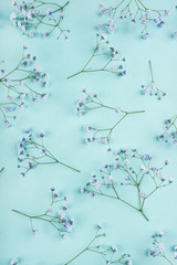 Beautiful flower background of blue gypsophila flowers. Flat lay, top view. Floral pattern.