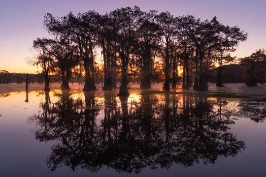 Sunrise At Swamp At Caddo Lake Texas