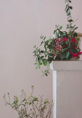 bouquet of flowers in a vase on pink background