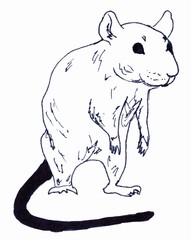 The rat is sitting. Linear illustration on a white background.