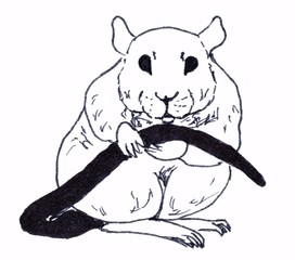 The rat is sitting. Linear illustration on a white background.