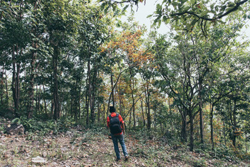 Man 20-30s of backpacker standing and looking forward, walking alone in deep autumn forest. traveling, active lifestyle adventure vacation holiday nature landscape outdoor