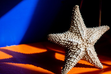 starfish shape background