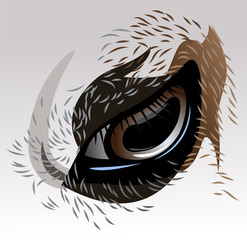 Eye of a sheep or goat close-up, macro, vector graphics