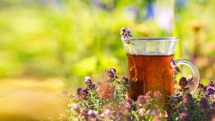 Cup of hot herbal tea in thyme herbs in summer