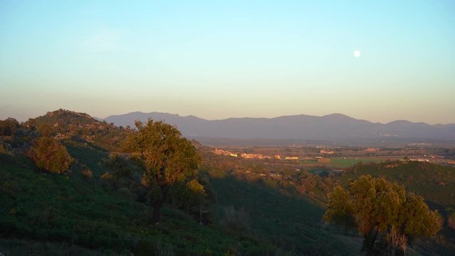 Paisaje con arbol y luna
