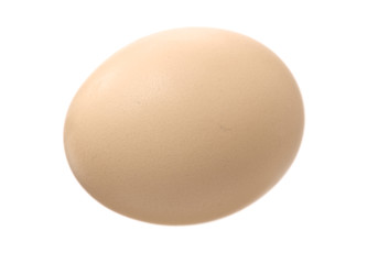 egg on a white background