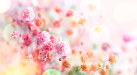 Spring floral composition made of fresh colorful flowers on light pastel background. Festive flower...